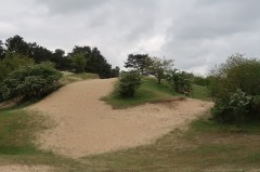 IMG_6794